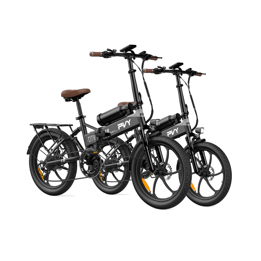 Combo Sale-Z20 MAX - PVY E-BIKE