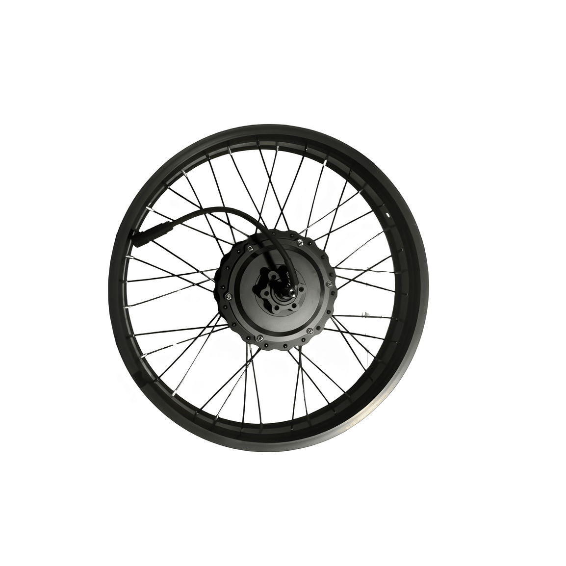 PVY Z20 PLUS Tyre Spokes - PVY E-BIKE