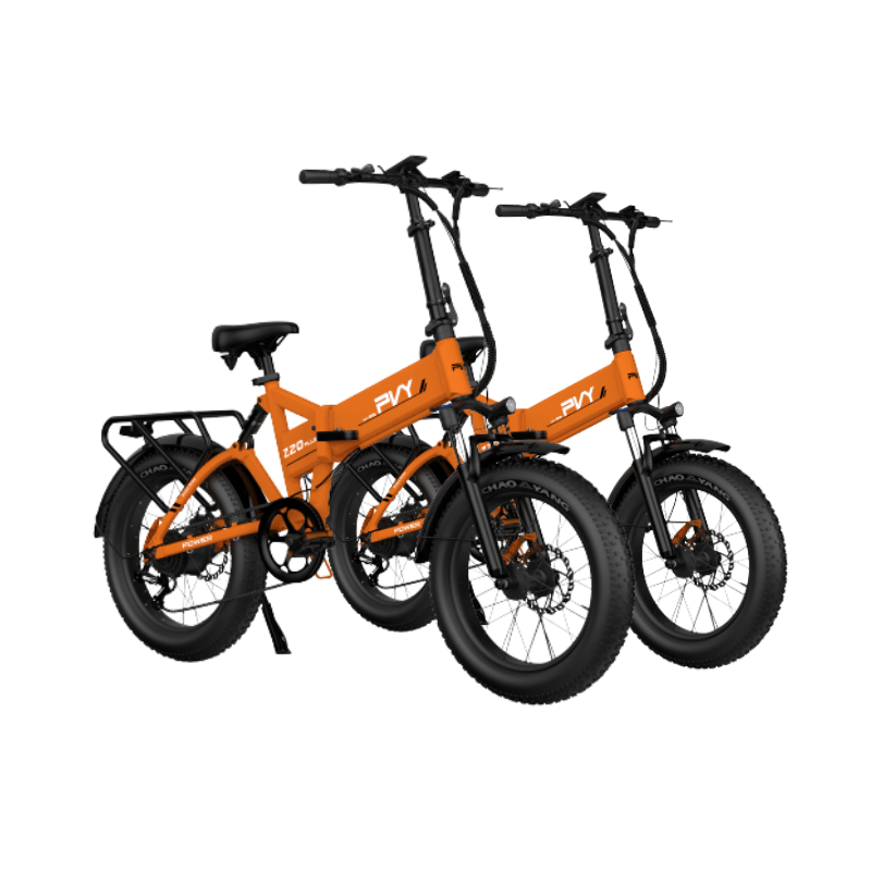 Combo Sale-PVY Z20 PLUS - PVY E-BIKE